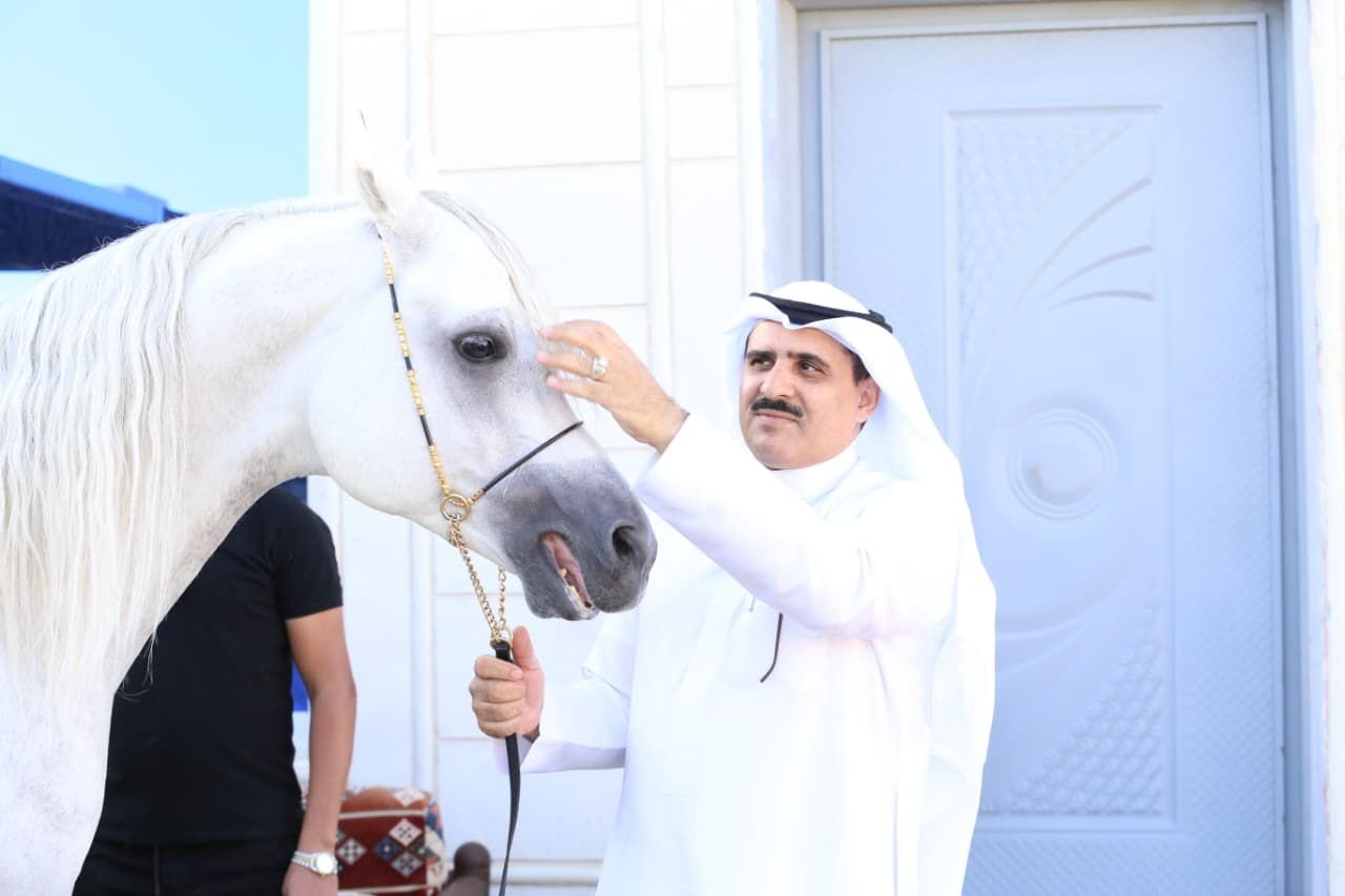 خيول